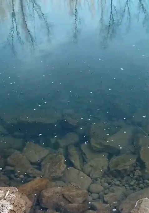 Vista del fondo del agua a través de un lente polarizado